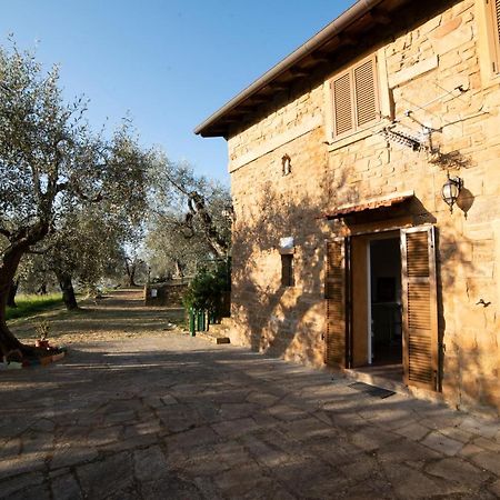 Casetta Maduneta Immersa In Un Oliveto Dolceacqua Eksteriør billede