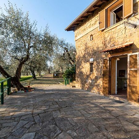 Casetta Maduneta Immersa In Un Oliveto Dolceacqua Eksteriør billede