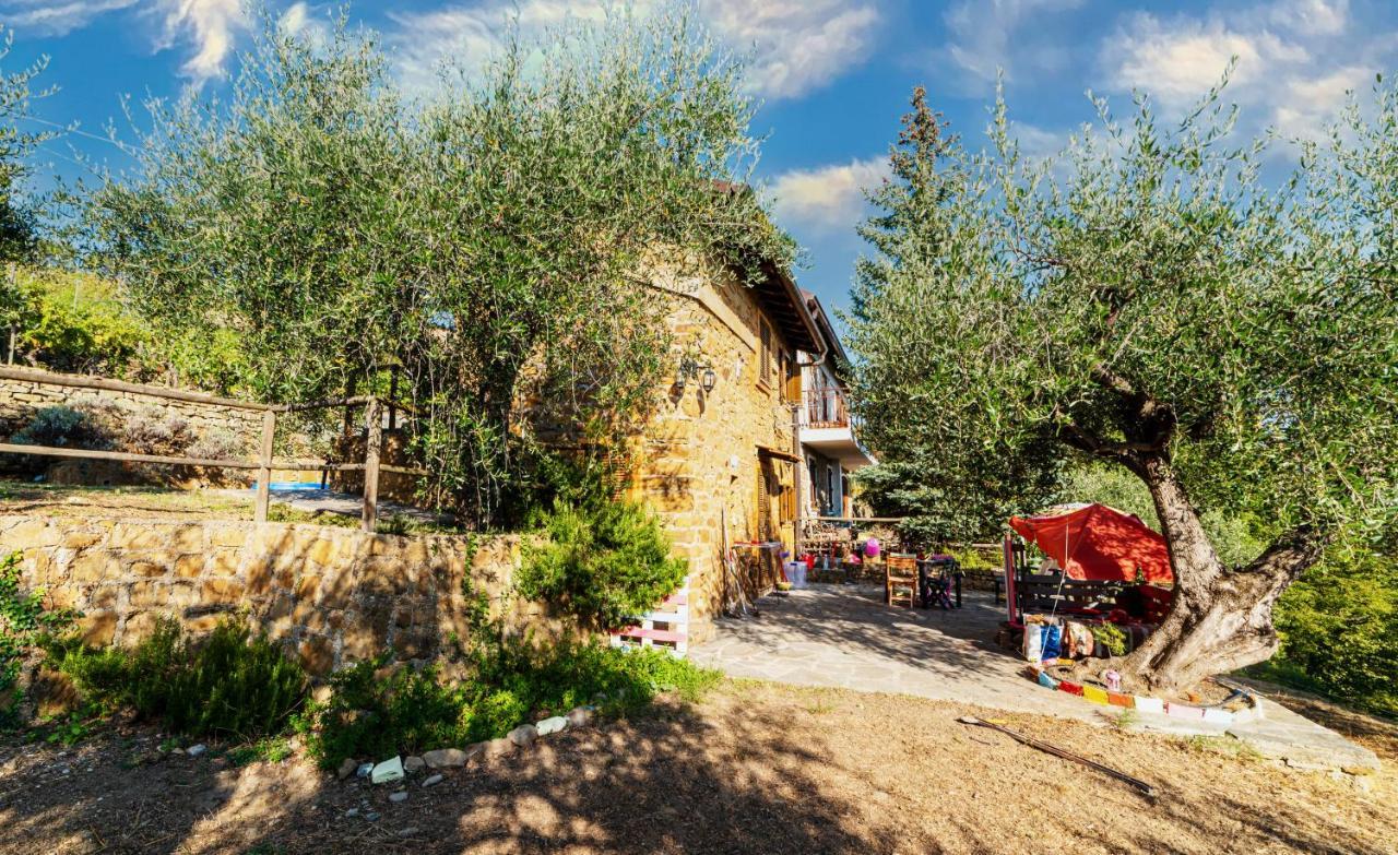 Casetta Maduneta Immersa In Un Oliveto Dolceacqua Eksteriør billede