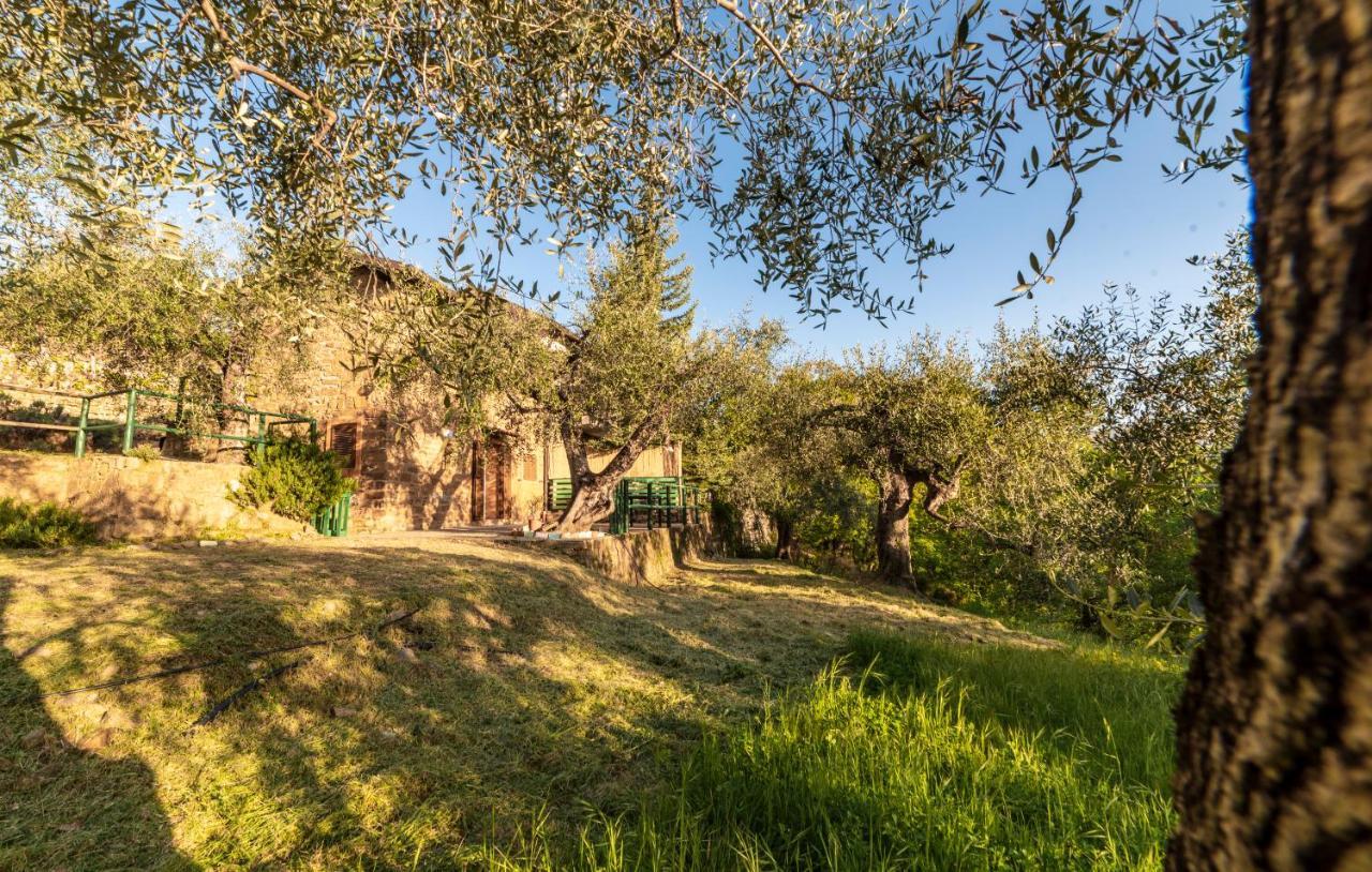 Casetta Maduneta Immersa In Un Oliveto Dolceacqua Eksteriør billede