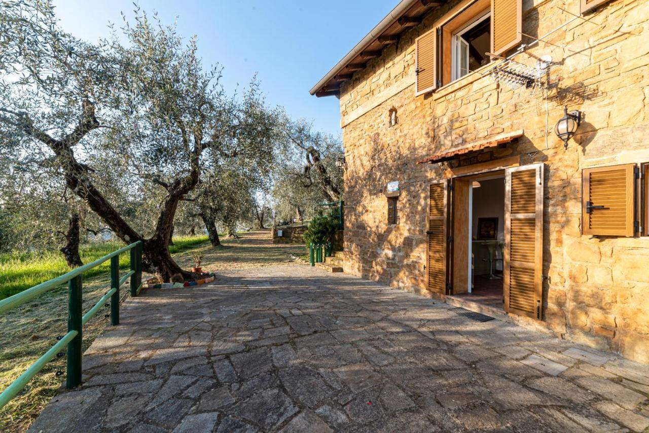 Casetta Maduneta Immersa In Un Oliveto Dolceacqua Eksteriør billede